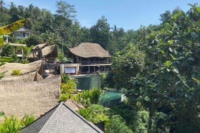 Rekomendasi Tempat Healing Anti-Mainstream di Tengah Hutan Ubud, Bali
