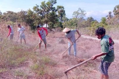 Merawat Tradisi Gemohing Bertani Gotong Royong Warisan Leluhur yang Masih Bertahan di NTT