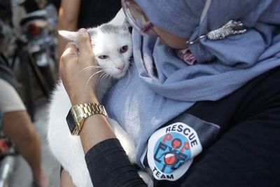 Kisah Pahlawan Penyelamat Kucing Liar, Merawat Kucing Dua Kaki dan Berbelatung