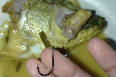 Viral! Hati-hati saat Makan Ikan, Siapa Tahu Masih Ada Kailnya