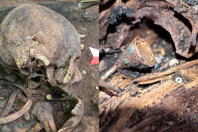 Arkeolog Temukan Makam Berusia 2.500 Tahun di Seberia, Diduga Milik Kaum Penting Nomaden