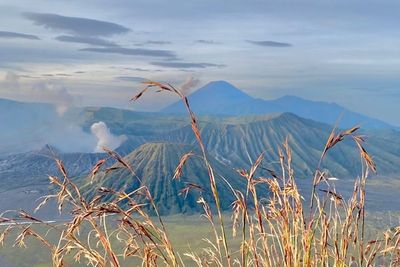 Dijuluki Golden Swiss, Gunung Bromo Punya Spot Berburu Sunrise Terbaik!