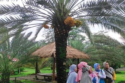 Sempat Viral! Pohon Kurma Tumbuh Subur di Pasuruan Mirip di Timur Tengah