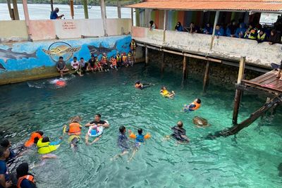 Cuma Bayar Rp10 Ribu Kamu Bisa Berenang dan Snorkeling Bersama Penyu di Pulau Ini!