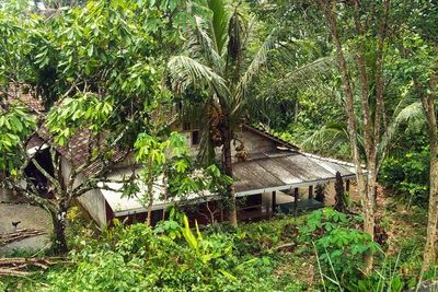 Kampung Ini hanya Boleh Dihuni 7 Keluarga, Kalau Dilanggar Nyawa Taruhannya!