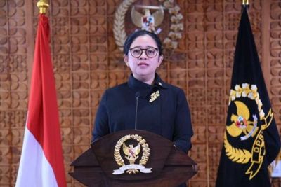 Puan Apresiasi Pemerintah Salurkan BLT Minyak Goreng, Tapi Harus Benahi Struktur Pasar