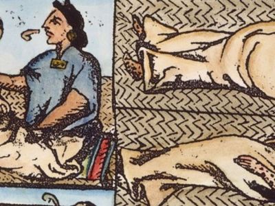 Bukan Senjata, Wabah Cacar yang Meluluhlantakkan Peradaban Bangsa Aztec