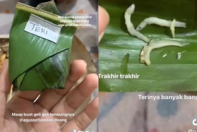 Viral Sejoli Beli Nasi Kucing Ukurannya Kecil Banget: Ini Bukan Nasi Kucing, Nasi Tikus!
