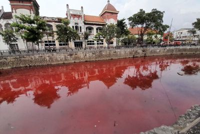 Viral! Air Kali Semarang Mendadak Berdarah Bikin Geger Warga, Apa Penyebabnya?
