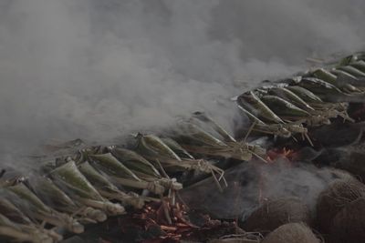 Lemper Asal Kalimantan, Sumber Makanan Tentara di Era Perang Kemerdekaan