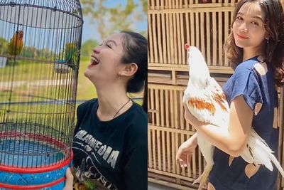 Sosok Nonni Indah, Gadis Cantik Penjual Burung dan Pakannya, Hobi Burung dan Ayam Jantan