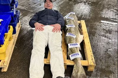 Pecah Rekor Ikan Kod Terbesar yang Pernah Ditangkap Manusia, Miliki Berat 50 Kg