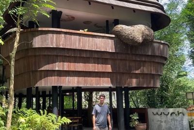Sarang Lebah yang Viral di Bali Ternyata Kafe Berkonsep Jungle, Pewe Abis!