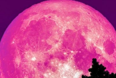 Siap-siap, Akhir Pekan Ini Ada Bulan Purnama Pink, Begini Cara Melihatnya