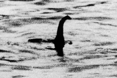 Monster Loch Ness, Makhluk Mitologi Skotlandia yang Disebut Penis Ikan Paus, Benarkah?