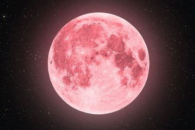 Malam Ini Kamu Bisa Melihat Pink Moon, Bulan Purnama Berwarna Merah Jambu