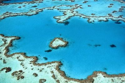 Perubahan Iklim Jadi Ancaman Lingkungan yang Paling Signifikan Terhadap Great Barrier Reef