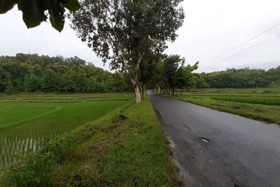 Larangan Pengantin Baru Melintas di Gunung Pegat Ponorogo, Berani Coba Siap-siap Cerai!
