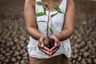 Benarkah Pola Hidup Vegan Mampu Menyelamatkan Bumi dari Perubahan Iklim?