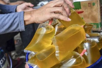 Jokowi Resmi Larang Ekspor CPO dan Minyak Goreng, Ini Alasannya