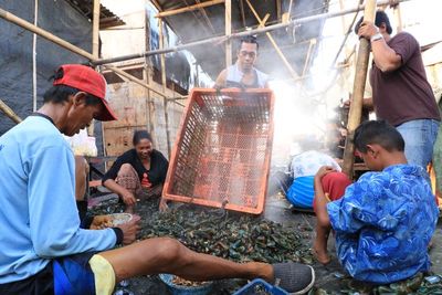Berdampingan dengan Sampah, Begini Proses Pengupasan Kerang Hijau di Jakarta Utara