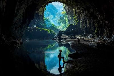 Sudah Taubat , Penebang Pohon Liar di Vietnam Banting Setir Jadi Pemandu Wisata Rimba