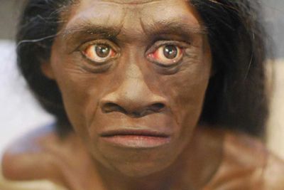 Peneliti Sebut Manusia Kerdil Hobbit di Flores Kemungkinan Masih Ada, Tetap Jadi Misteri