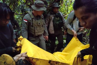 Lempar Bom saat Ditangkap, Pak Guru DPO Teroris MIT Ditembak Mati Petugas
