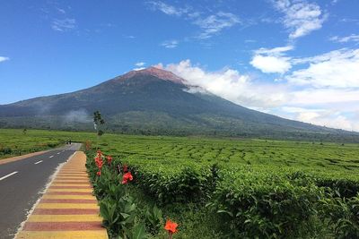 5 Spot Wisata Wajib Gunung Kerinci yang Bisa Disinggahi Wisatawan Lokal di 2025