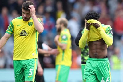 Tenggelam di Dasar Klasemen, Norwich City Terdepak dari Premier League