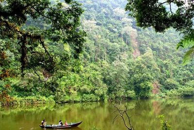 6 Tempat Wisata Bogor dengan Suasana Alam Beserta Tarif Masuknya