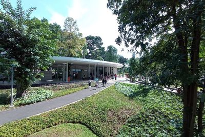 Jakarta Makin Keren! Wajah Baru Taman Tebet yang Kini Punya Jembatan Cantik Banget!