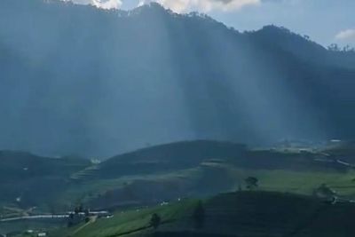 Bak di Eropa! Puncak Brakseng, Negeri di Atas Awan Dulunya Kebun Teh Zaman Belanda