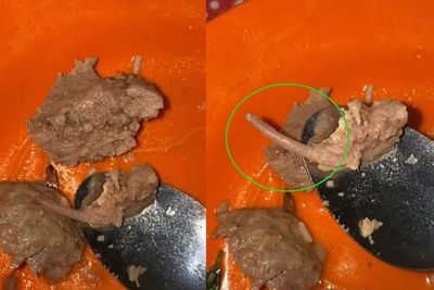 Viral Bakso Diduga Terbuat dari Daging Tikus, Pas Dimakan Ada Buntutnya dan Bau Amis