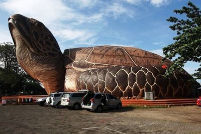 Ada Kura-Kura Raksasa Terdampar di Jepara, Isinya Menakjubkan!