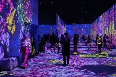 Keren! Batu Punya Taman Cahaya Terbesar di Asia, Enggak Kalah sama Singapura
