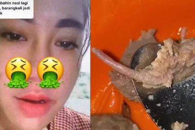 5 Fakta Bakso Diduga Berbahan Daging Tikus di Karawang, Agak Asam & Lebih Amis dari Biasa