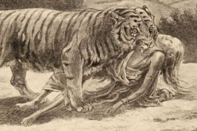 5 Hewan yang Dikenal Banyak Membunuh Manusia Sebagai Mangsa Berdasarkan Catatan Sejarah