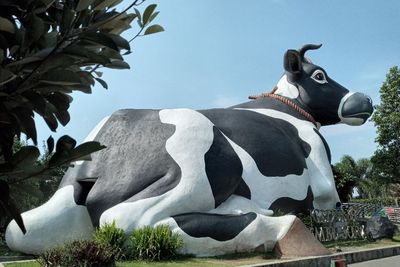 Dijuluki New Zealand van Java, Boyolali Ternyata Punya Sapi Raksasa