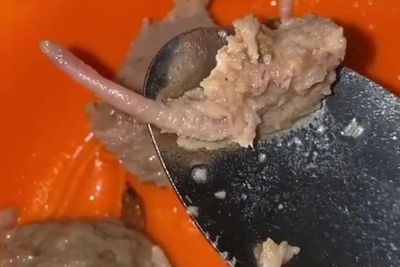 Buntut Bakso Diduga Daging Tikus di Karawang, Pengunggah Video Ajak Jangan Pukul Rata