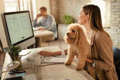 Tak WFH Lagi, Karyawan di Kanada Boleh Bawa Anjing ke Kantor, Bagaimana Teman yang Alergi?
