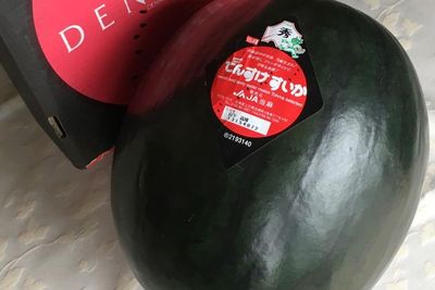 Densuke, Semangka Termahal di Dunia yang Dijual Seharga Rp83 Juta Per Buah, Kok Bisa?