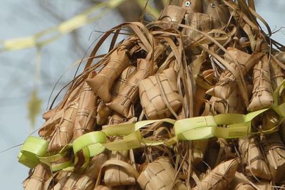 Dikenalkan Sunan Kalijaga, Ternyata Ada Makna Indah di Balik Ketupat! Apa Itu?