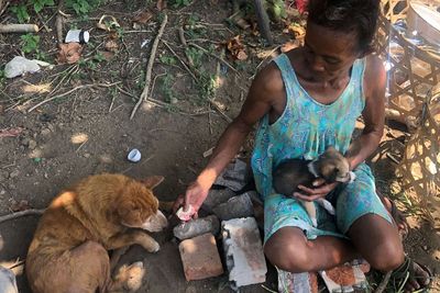 Kisah Wanita Sebatang Kara Rawat 60 Anjing Liar di Bali: Susah Buat Beli Obat!