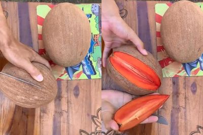 Dikira Kelapa, Buah Berwarna Cokelat Ini Ternyata Sawo, Warganet Ramai Ingin Beli
