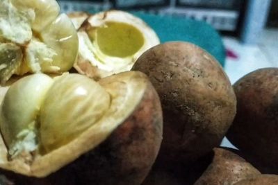 Tumbuh di Hutan Belantara, Ini buah Langka Munculnya 5 Tahun Sekali!