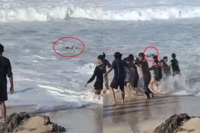 Video Wisatawan Nyaris Terseret Ombak di Pantai Gunung Kidul, Warga Kompak Menolong