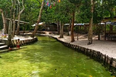 Konon Ada Batu Giok di Dasar Sungai Hijau Kampar, Airnya Segar Bikin Relaks