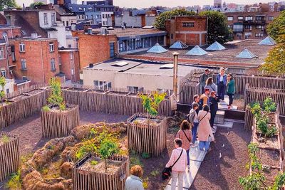 Berkebun di Rooftop, Tren Baru Kaum Urban di Belgia: Bisa Dicoba di Indonesia