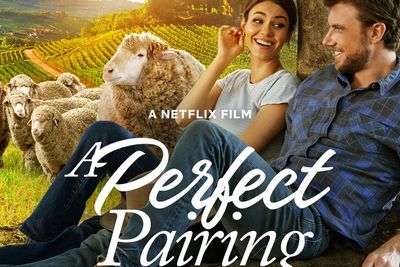 A Perfect Pairing Resmi Tayang di Netflix, Simak Sinopsisnya